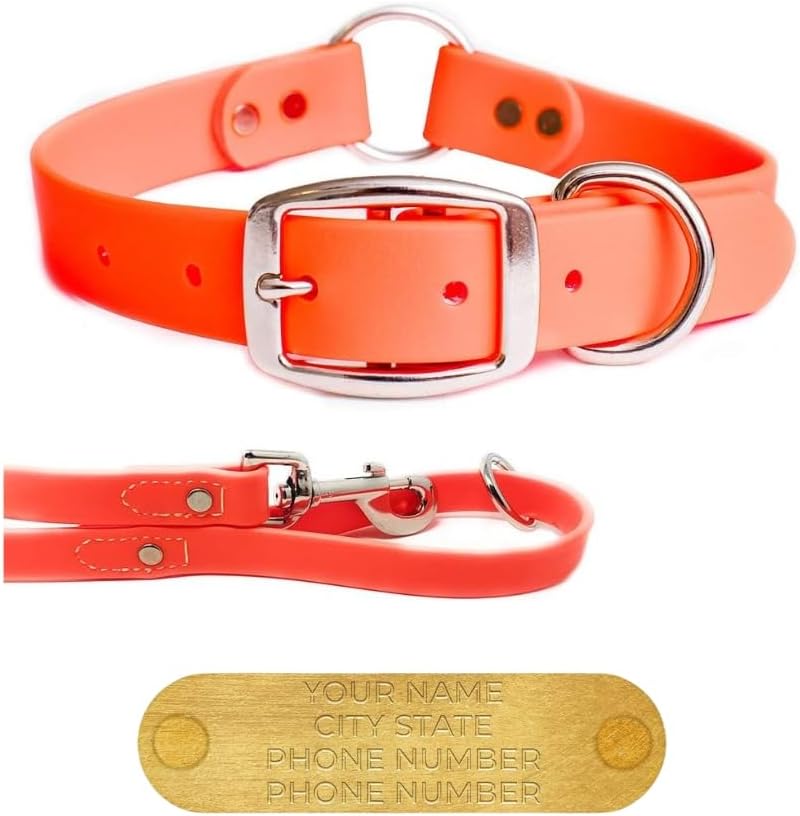 Custom Engraved Waterproof Dog Collar and Leash Set for Dogs