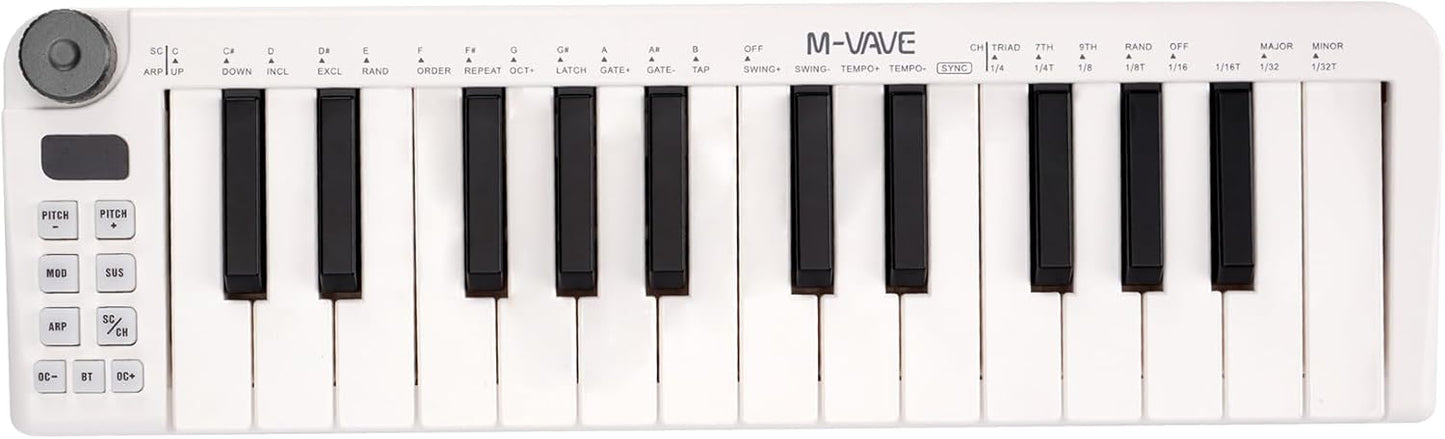 Wireless Mini Keyboard & Keytar for Music Production