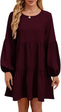 Falll Dresses for Women Crew Neck Long Lantern Sleeve - Flowy Mini