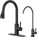 Black Stainless Steel Kitchen Faucet and Water Filter Combo - Pull