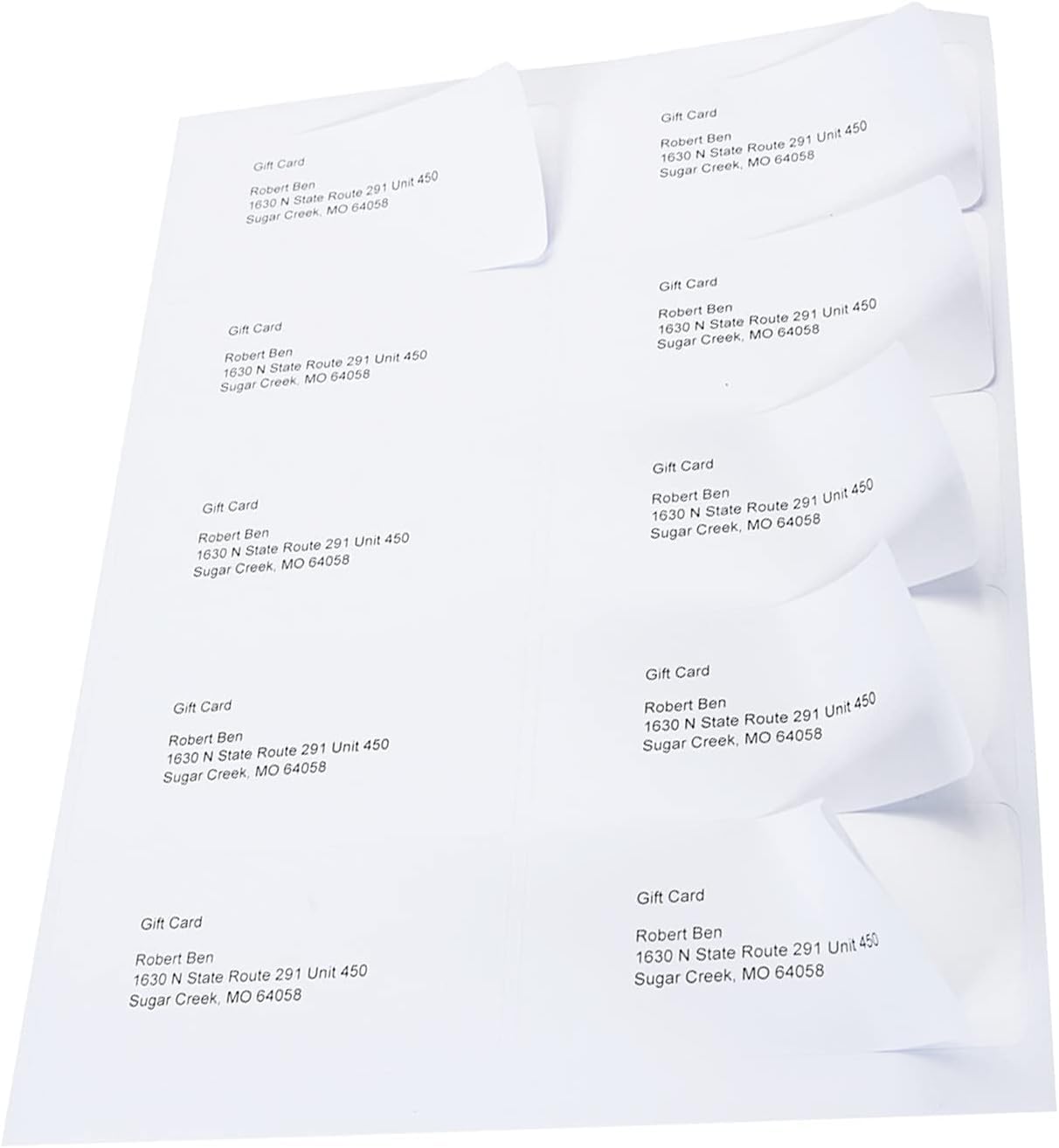 2 x 4 Shipping Address Labels for Laser Inkjet Printers - 500 Sheets
