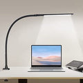 LED Desk Lamp with Clamp and Flexible Gooseneck - Touch Dimmable