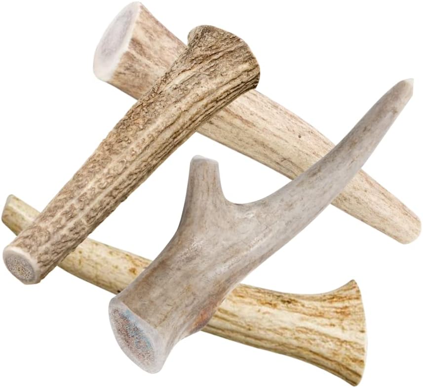 Deer Antlers for Dogs - 7+ Inch Large Dog Antler Chews