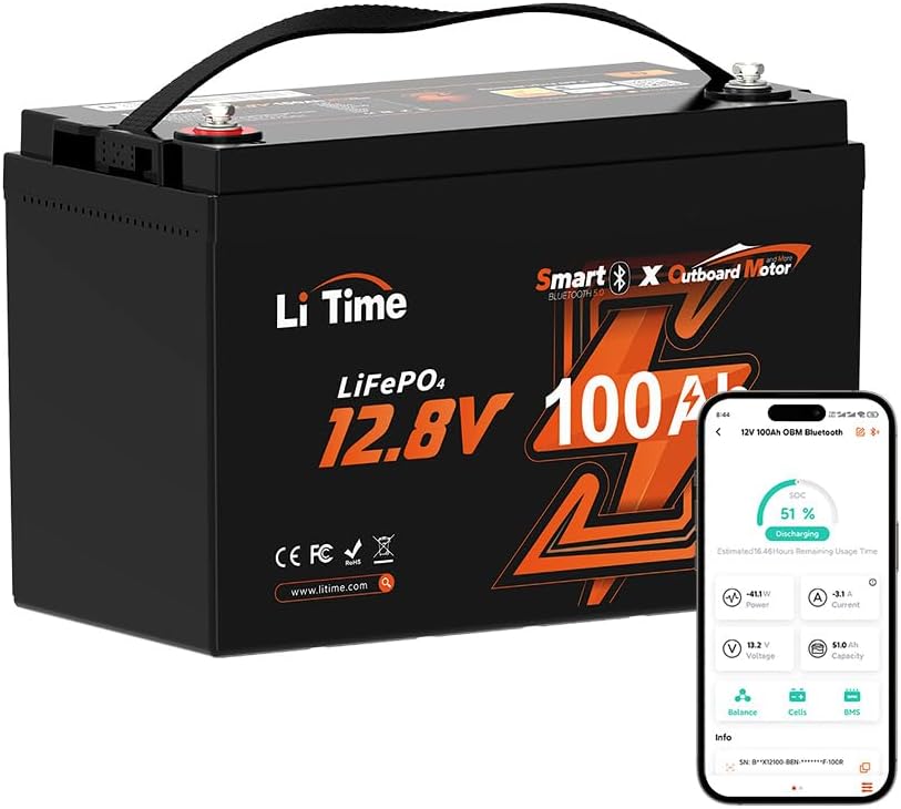 LiTime 12V 100Ah Bluetooth Battery with Low-Temp Protection