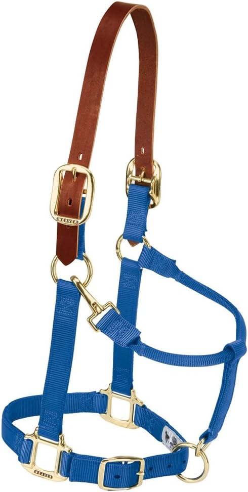 Breakaway Horse Halter with Supple Leather Crown for Horses