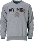 Barnesmith Crewneck Sweatshirt for College Heritage Logo - Cozy feels