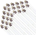 Circle F32T8/SP41 32W Cool White T8 Linear Fluorescent Tube - Case