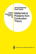 Mathematical Problems from Combustion Theory - Focused Applied