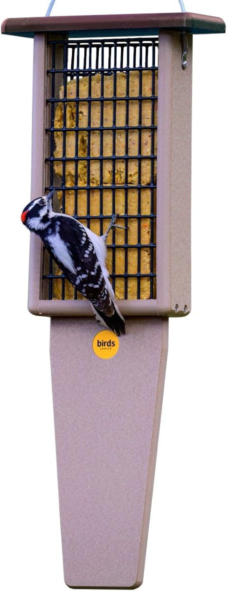 Birds Choice Pileated Suet Bird Feeder for Woodpeckers & More