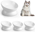 Elevated Cat Food Bowl Tilted Ceramic 5 Oz - Ergonomic Raised Dish