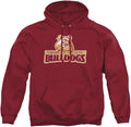 Collegiate Distressed Logo Hoodie for Adults by LOGOVISION