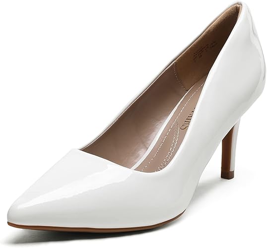 DREAM PAIRS Women's Classic Fashion Pointed Toe High Heel Pumps