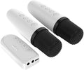 Karaoke Machine Dual Wireless Microphone System - Portable Karaoke
