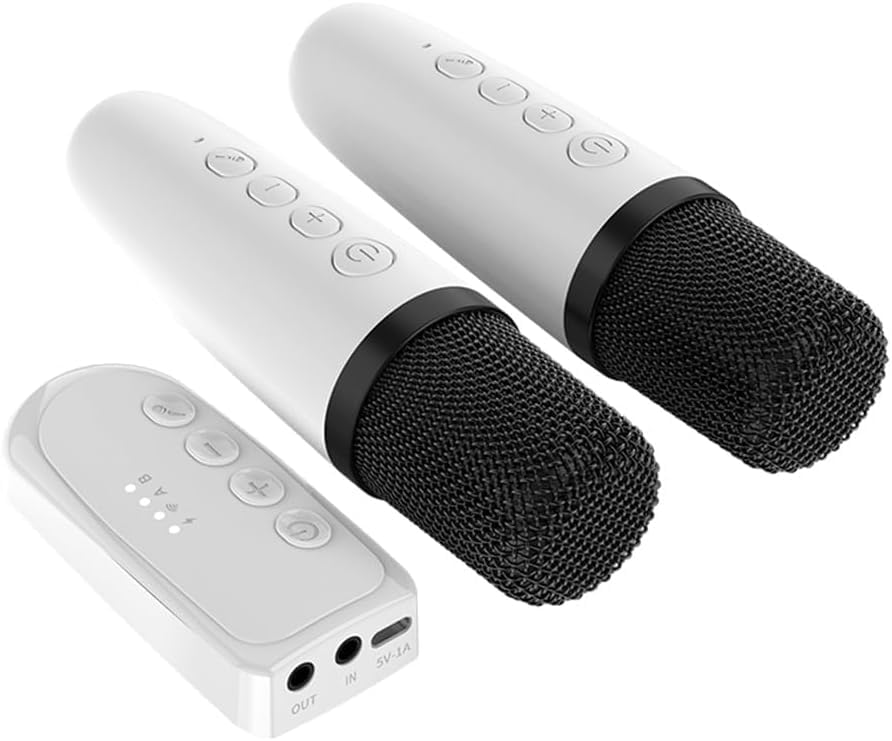 Dual Wireless Karaoke System with Handheld Mics