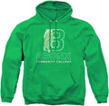 LOGOVISION Collegiate Distressed Primary Logo Adult (Style PCQL)