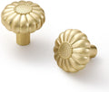Brushed Gold Cabinet Knobs 20 Pack - Pumpkin Design Brushed Brass