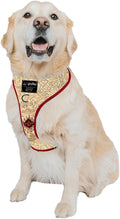 Dog Adjustable Harness Marauder's Map TM - XL Breathable No Pull