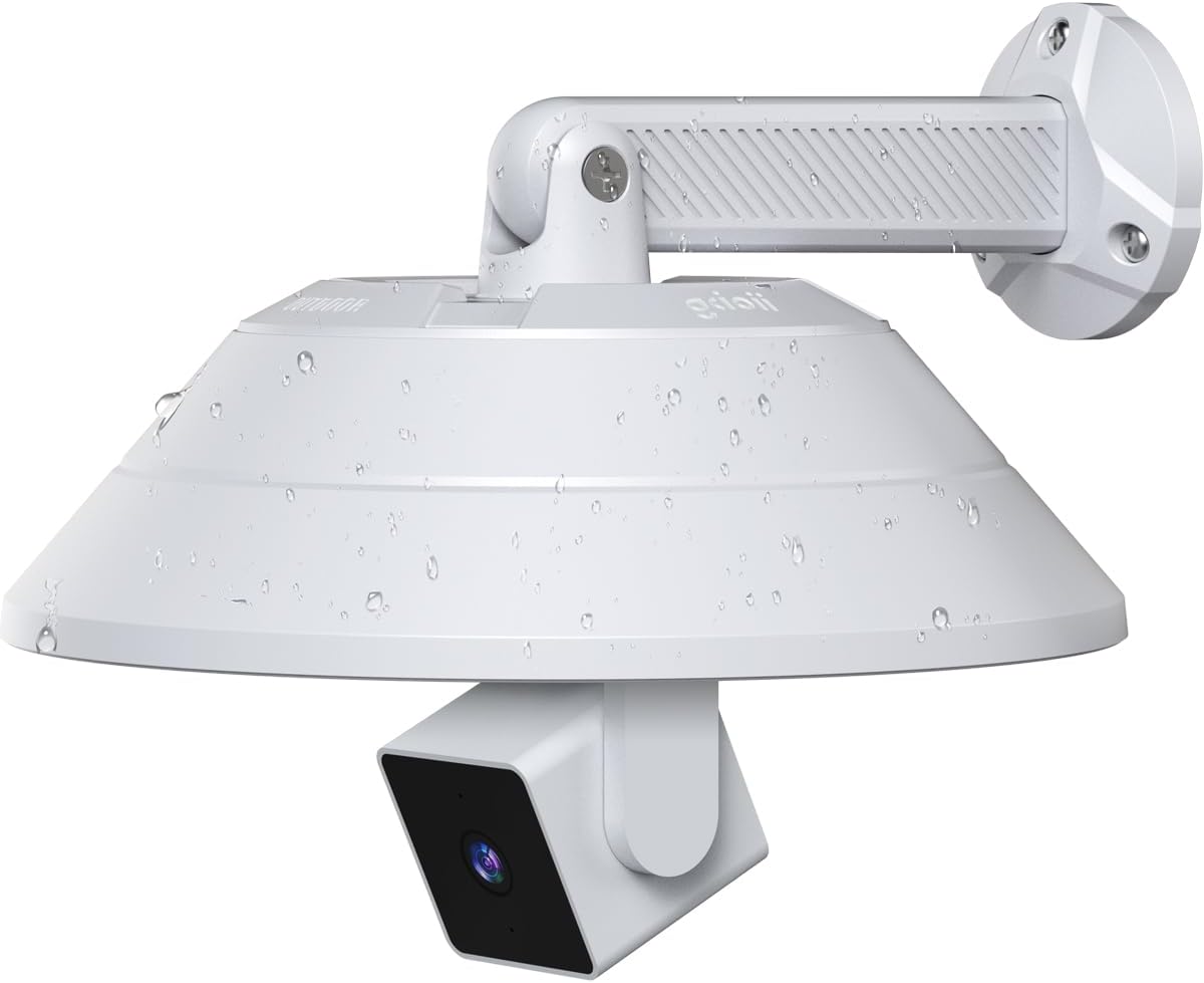 Protective Wall Mount for Multiple Cameras
