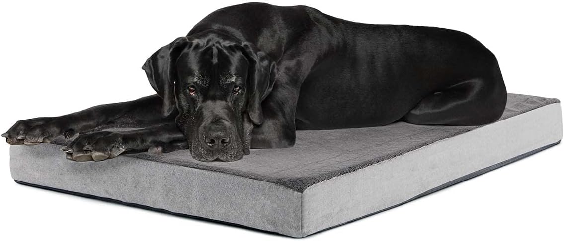Orthopedic Dog Bed with Memory Foam for XXL Dogs and Puppies