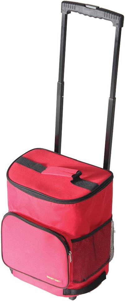 Ultra Compact Cooler Smart Cart for BBQ Beach and Summer Fun