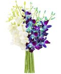 Blue and White Orchid Bouquet - Valentine's Day KaBloom