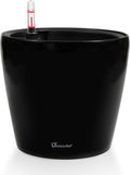11x10 in High Gloss Self Watering Planter Black - Indoor/Outdoor