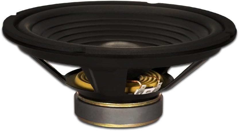 Enhance Your Sound with Goldwood 10 220W Woofer