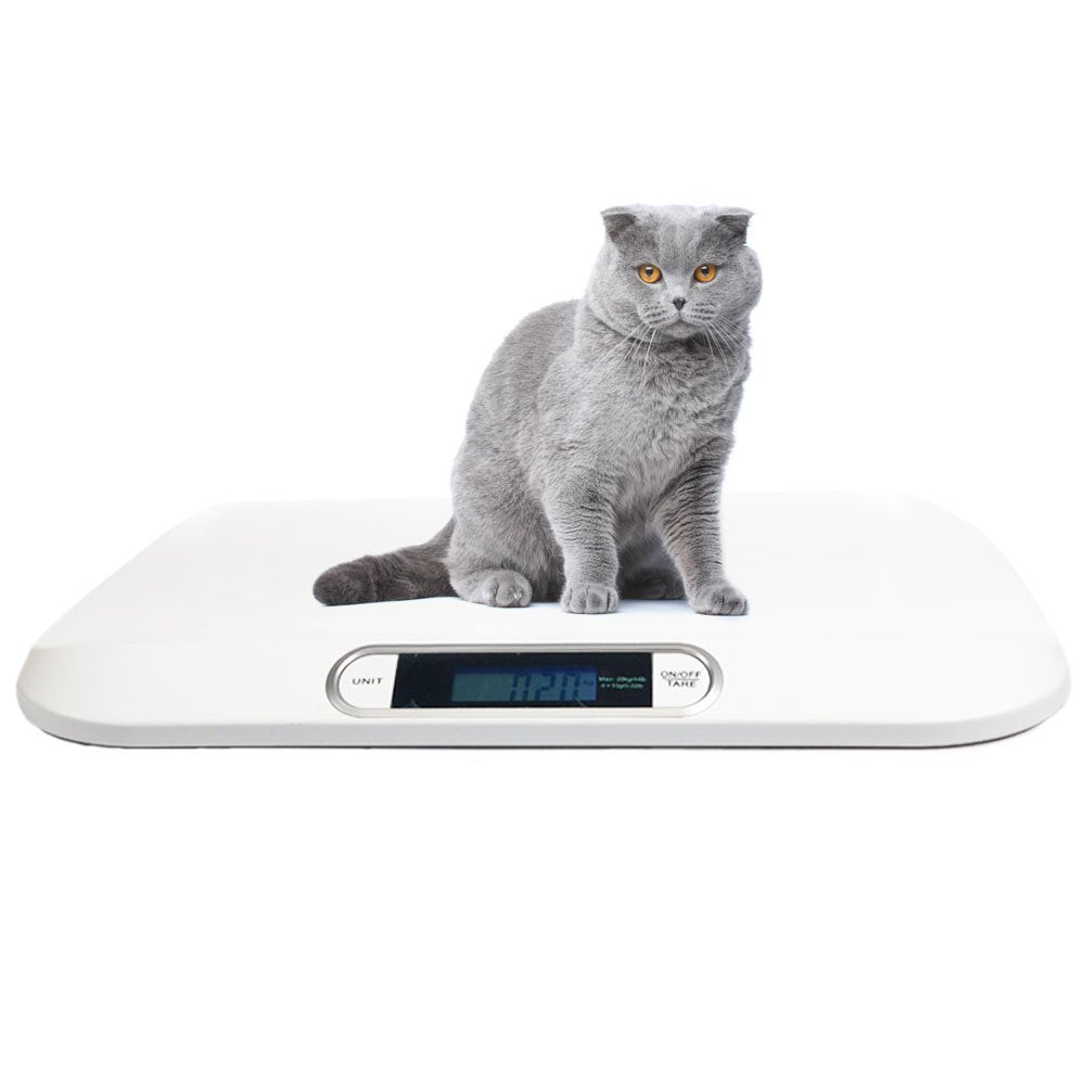 Digital Electronic Display Portable Dog Cat Scale for Pets