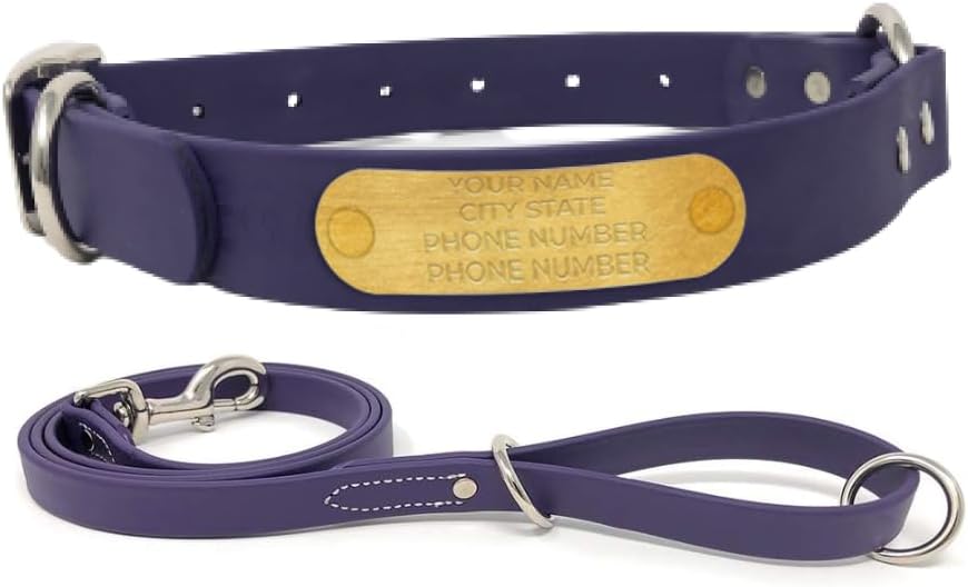 Custom Engraved Waterproof Dog Collar and Leash Set for Dogs