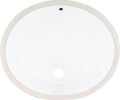 MSI 17 in x 14 in Oval Porcelain Undermount Vanity Sink - Timeless