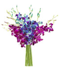 Blue and Purple Orchid Bouquet - 10 Blue and 10 Purple Orchids
