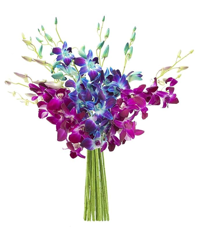 Stunning Blue and Purple Orchid Bouquet for Any Occasion