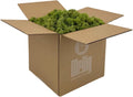 Preserved Reindeer Moss for Crafts and Home Decor - Spring Green
