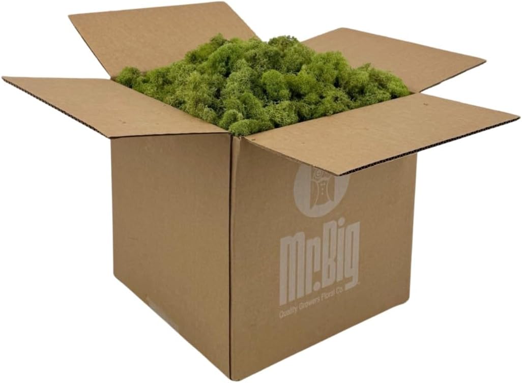 Preserved Reindeer Moss for Crafts, Home Decor & DIY Projects