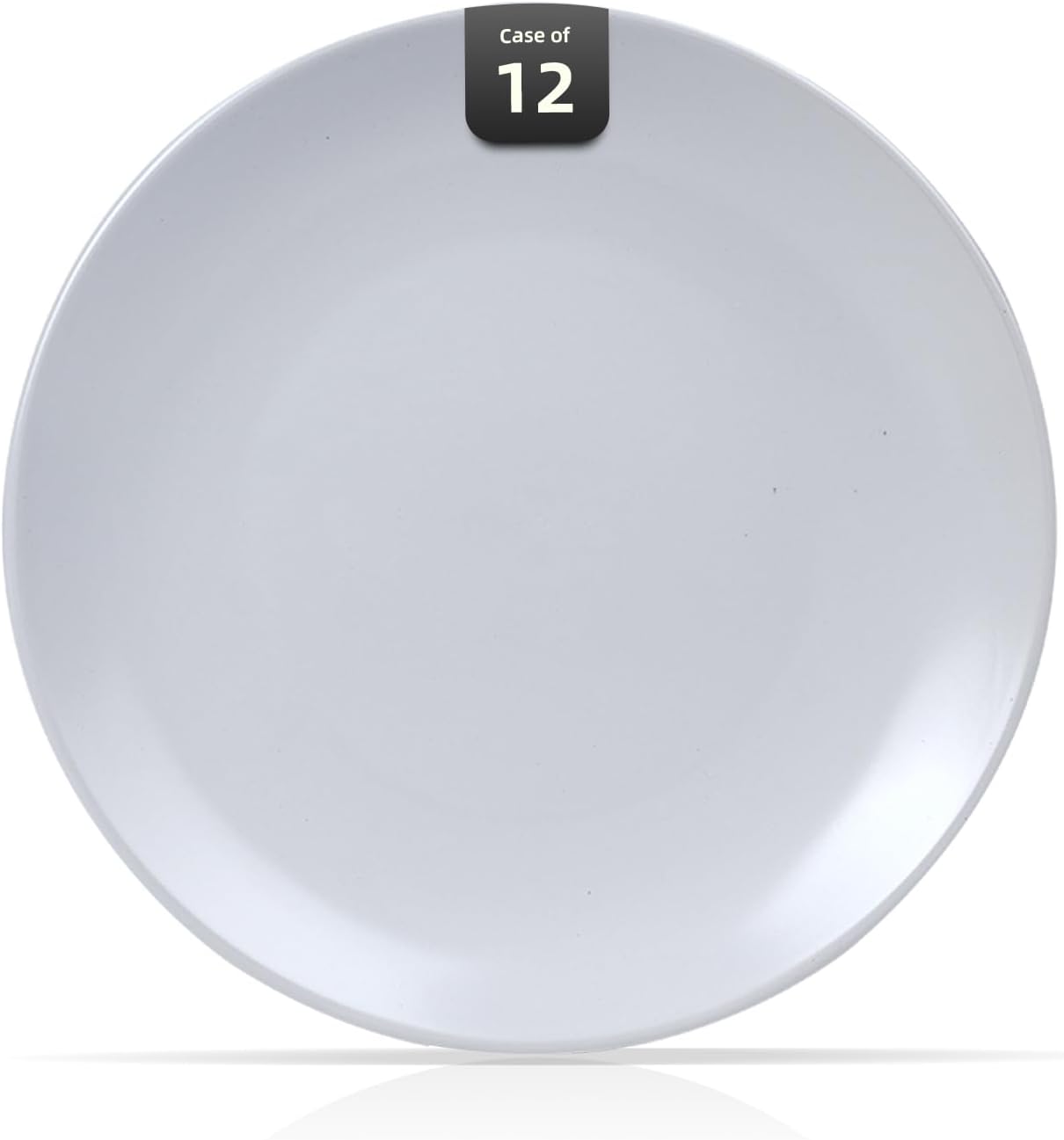 Stoneware Coupe Dinnerware Set - Matte White Plates 12.25in
