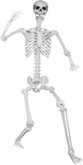 6ft/185cm Posable Halloween Skeleton Life Size - Movable Joints