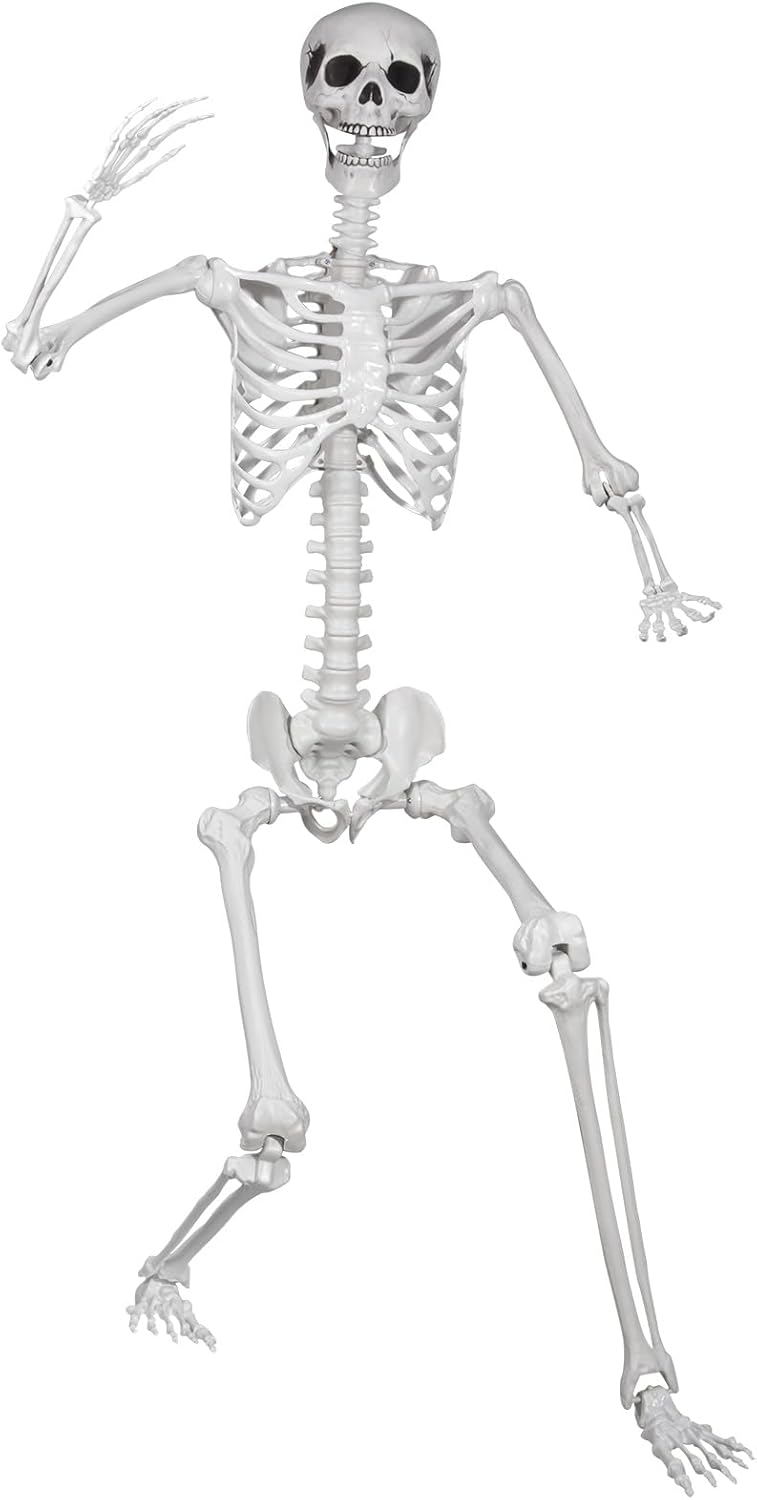 6ft Posable Halloween Skeleton for Spooky Scene Decor