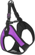 Gooby Escape Free Easy Fit Harness Purple X-Small - No Pull Step-In