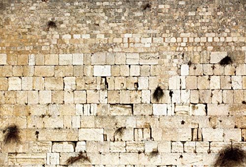 10x8ft Jerusalem Wailing Wall Backdrop for Stunning Decor
