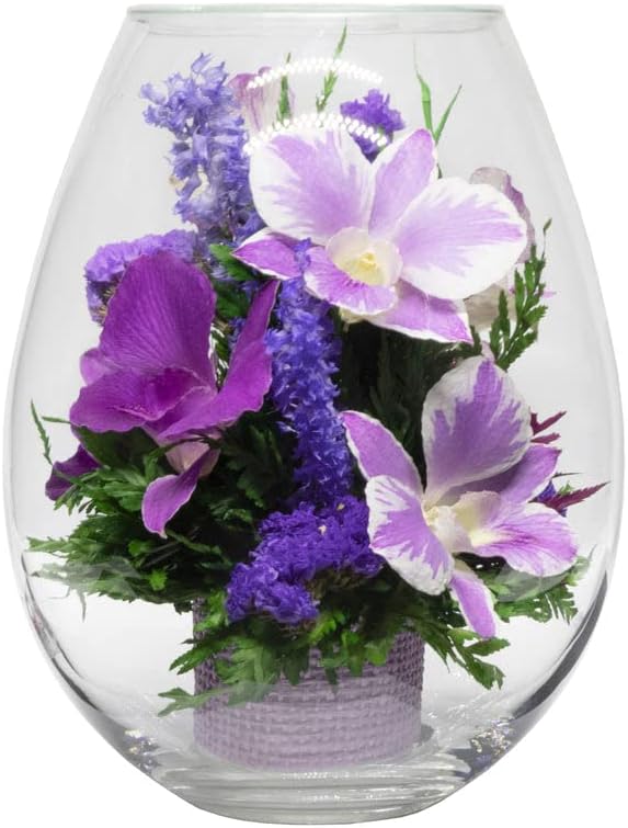 Fiora Flower Long Lasting Orchids No Water Needed Unique Gift