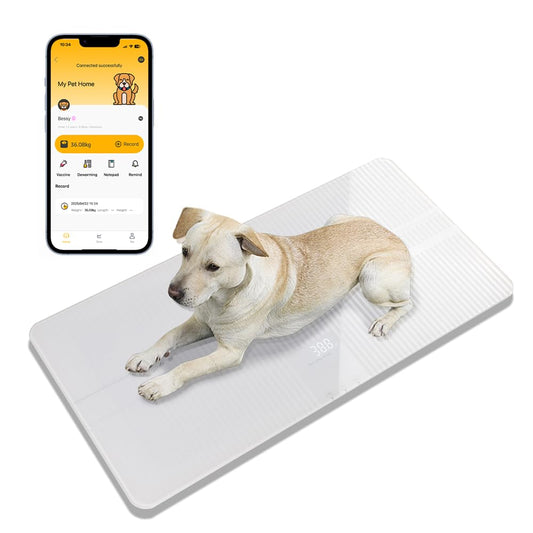 Large Bluetooth Digital Pet Scale for Dogs and Cats Up to 220lbs