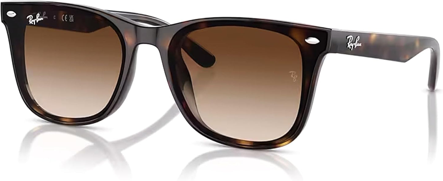Ray-Ban RB4420 Square Sunglasses with Accessory Eyewear Kit