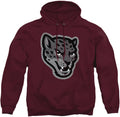 LOGOVISION Collegiate Distressed Primary Logo Adult (Style CVMT)