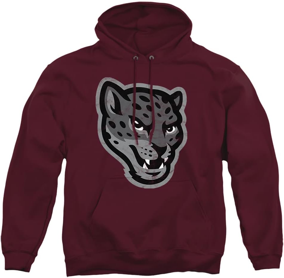 Official Collegiate Distressed Logo Adult Pullover Hoodie