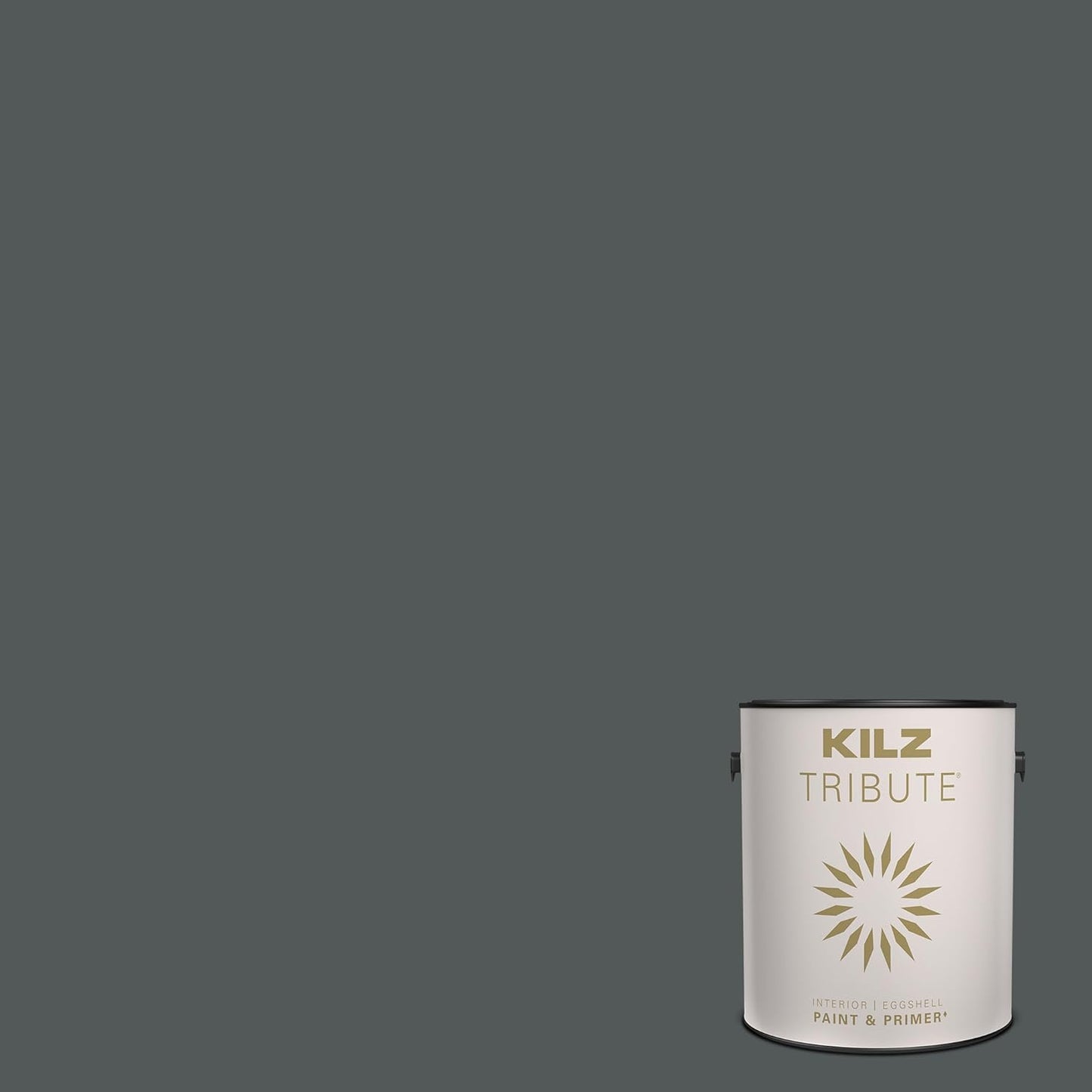 KILZ TRIBUTE Paint & Primer for Superior Interior Coverage
