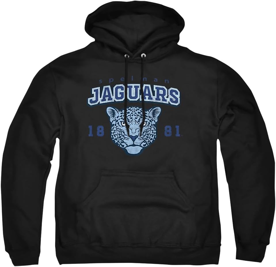 Official Collegiate Distressed Primary Logo Hoodie Collection