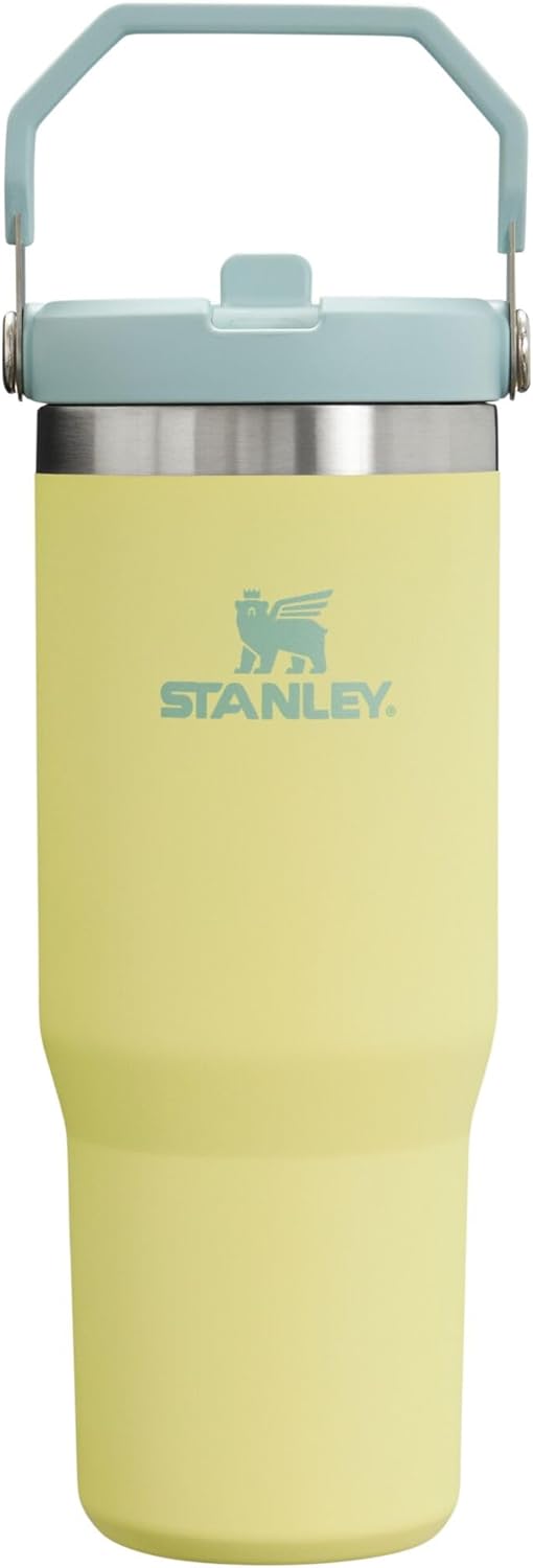Stanley IceFlow Flip Straw Tumbler: Insulated & Leak Resistant