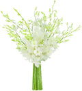 KaBloom PRIME NEXT DAY DELIVERY White Orchid Bouquet - Elegant Gift