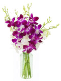 Purple and White Orchid Bouquet with Vase - Fresh Valentine