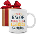 Sarcastic Sunshine Mug - Funny Sarcasm Gift